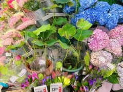 -盒马鲜生(岭南新世界店)