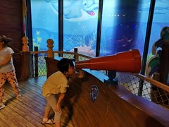 -中国宋庆龄青少年科技文化交流中心