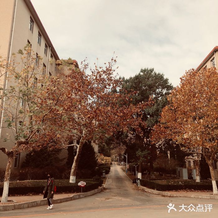 大連大學圖片