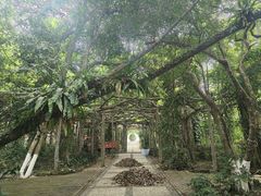 -广西壮族自治区药用植物园