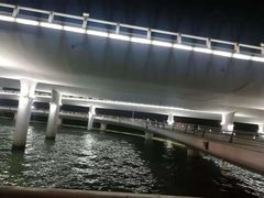 -演武大桥观景平台