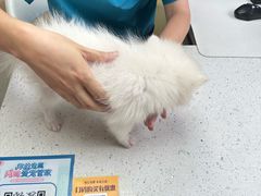 -宠颐生宠物医院·异宠猫科内科·诊疗中心宠巢店