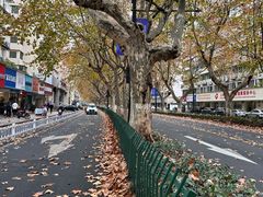 -海底捞火锅(庆春路店)