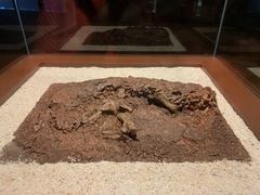 -世界恐龙谷景区