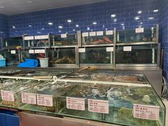 -凤凰楼酒家·粤宴点心(华强北店)