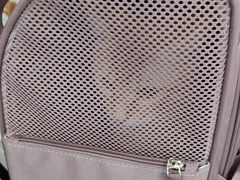 -四月宠物医院·猫专科·心脏专科·内科(转塘店)