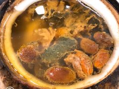 原只椰子炖竹丝鸡-達揚原味燉品(文明路店)