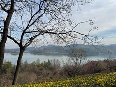 -天目湖涵田半山温泉