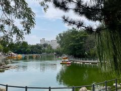 -莲湖公园