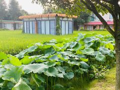 -洪湖家庭农场·团建·露营·会议