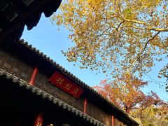 -灵谷景区