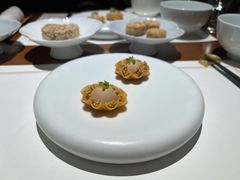 -觀芷隐轩