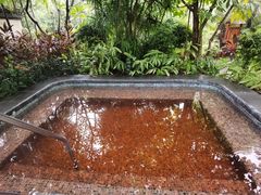 -广州从化都喜泰丽度假温泉酒店