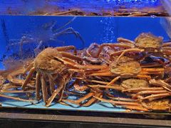 -阿伟海鲜楼·福建菜(延寿店)