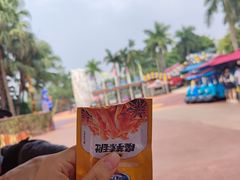 -深圳欢乐谷