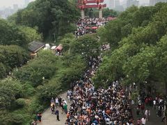 -黄鹤楼公园(黄鹤楼)