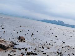 -巽寮印象美食部落餐厅·海鲜·地方特色菜(惠州体验店)