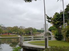 -金砂公园