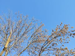 -朝阳公园
