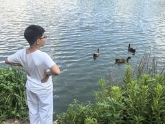 -南通濠河风景名胜区