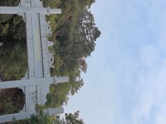 -羚羊峡古栈道森林公园