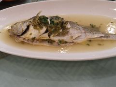 -江南村酒家