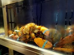 -頂好酒家·经典粤菜(海信广场店)