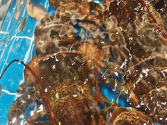 -新丁香海鲜酒店(银海商贸城店)