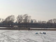 -大兴滨河森林公园