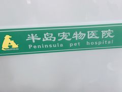 -半岛宠物医院24小时(科华中路店)