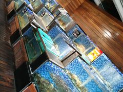 -浩运海鲜·16年专注青岛菜(石老人店)