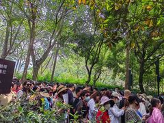 -韶山毛泽东同志故居