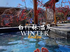 景点-白石山温泉旅游度假区