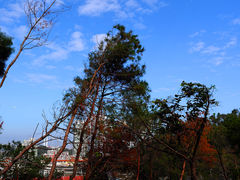 -狐尾山公园