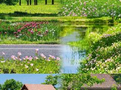 -良渚古城遗址公园