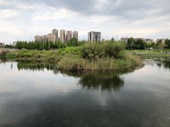 -眉山湿地公园(东坡区)