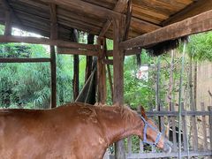 -驿舍·民國老营房院子私房菜(科学会堂店)