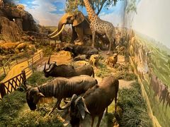 -陕西自然博物馆