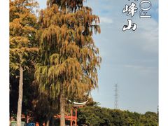 -顺峰山公园
