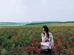 -南京枫彩漫城