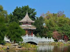 -顺峰山公园