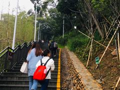 -仙岳公园