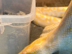 -上海大自然野生昆虫馆