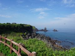 -涉地可支