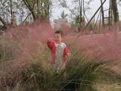 -白鹭湾湿地公园