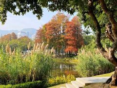 -四海公园(南山区)