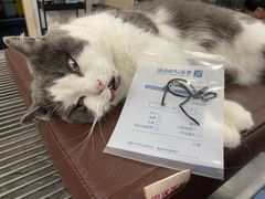 -爱诺耐芙动物医院(万博店)