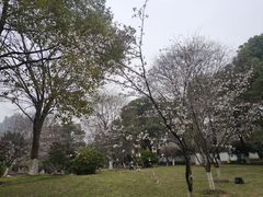 -堤角公园