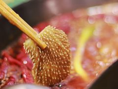 毛肚-有拈头成都市井火锅(柳市店)