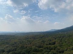 -灵谷景区